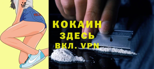 дживик Инсар