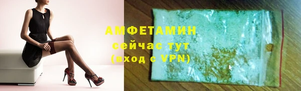 ГАЛЛЮЦИНОГЕННЫЕ ГРИБЫ Инта