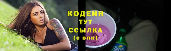 ГАЛЛЮЦИНОГЕННЫЕ ГРИБЫ Инта