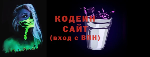 ГАЛЛЮЦИНОГЕННЫЕ ГРИБЫ Инта