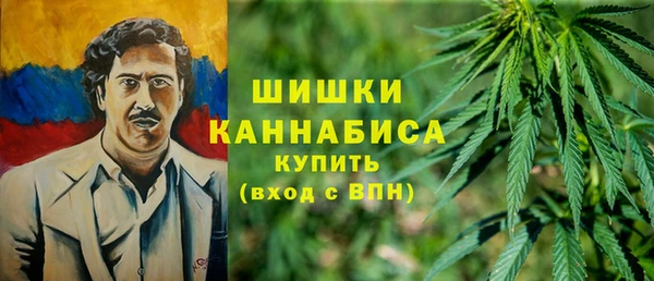 дживик Инсар