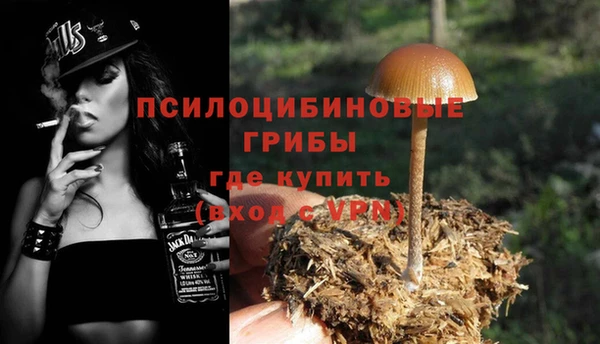 PSILOCYBIN Иннополис