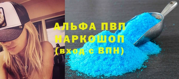 PSILOCYBIN Иннополис
