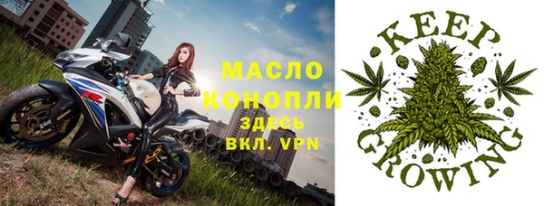 PSILOCYBIN Иннополис