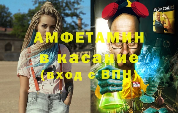 ГАЛЛЮЦИНОГЕННЫЕ ГРИБЫ Инта