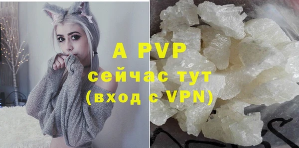 PSILOCYBIN Иннополис