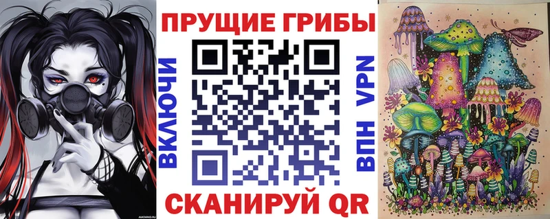 Купить  Кимовск  Галлюциногенные грибы GOLDEN TEACHER 